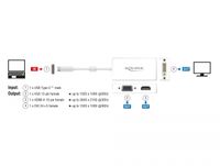 DeLOCK DeLOCK USB-C > VGA / HDMI / DVI - thumbnail