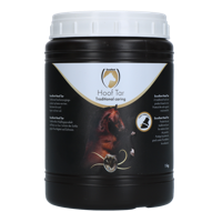 Hoefteer Excellent (Stockholmer)