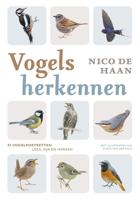 Vogels herkennen - Nico de Haan - ebook