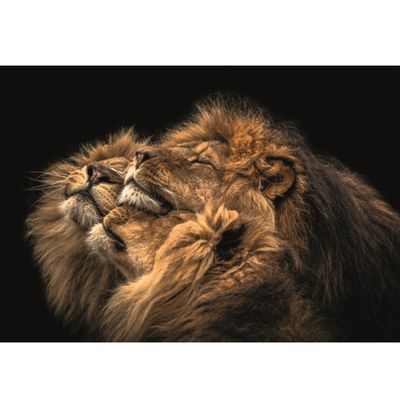 MondiArt Alu So Close glans a1100815