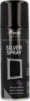 Hagerty Silver Spray - thumbnail