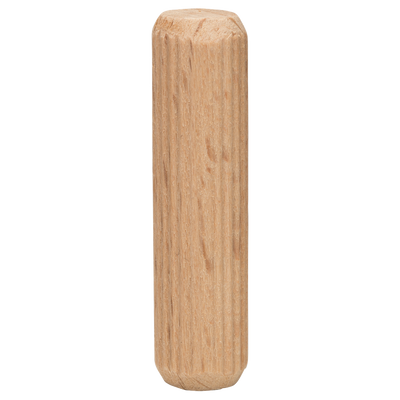 Bosch Accessoires Deuvel 10X40 mm | 30 stuks - 2609255313