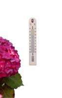 Muurthermometer kunststof beige 17x2,5x0,5cm - Nature