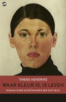Waar kleur is, is leven - Tineke Hendriks - ebook
