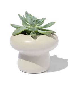 HEMA Bloempot Ø6x7cm Keramiek Paddenstoel Wit (naturel)