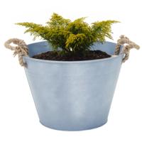 Plantenpot/bloempot Old Rope - rond - zink - zilver - D31 X H21 cm