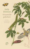 Verzamelde gedichten (Paperback)