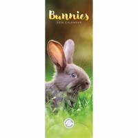 Konijnen Kalender Slimline 2026