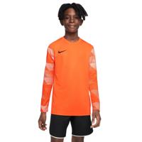 Nike DRY PARK IV Keepersshirt Lange Mouwen Kids Oranje Nike DRY PARK IV Keepersshirt Lange Mouwen Kids Oranje
