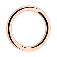 Segment Ring Clicker Met roségoud verguld chirurgisch staal Piercingringen