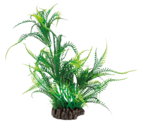 Superfish Art Plant 25 cm Microsorum