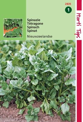 Spinazie Nieuwzeelandse - Hortitops Spinazie Nieuwzeelandse - Hortitops