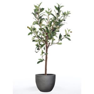 Emerald kunstplant olijfboom mini 65 cm