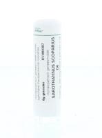 Homeoden Heel Sarothamnus scoparius D6 6 Gram