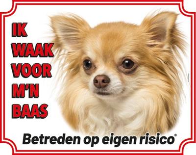 Chihuahua Langhaar Blond Waakbord