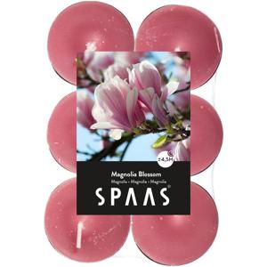 Geurtheelichtjes/waxinelichtjes - 60x - Magnolia Blossom - 4,5 branduren