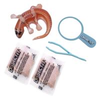 DISSECT-IT Ontleed een Salamander met Vergrootglas