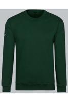 TRIGEMA Regular Fit Sweatshirt ronde halsgroen, Effen