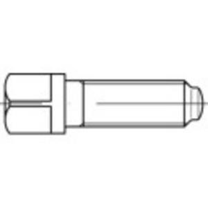 TOOLCRAFT 107977 Vierkantbouten M12 50 mm Vierkant DIN 480 Staal 25 stuk(s)