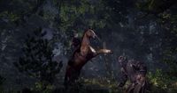BANDAI NAMCO Entertainment The Witcher 3: Wild Hunt Game of the Year Edition, PS4 PlayStation 4 - thumbnail