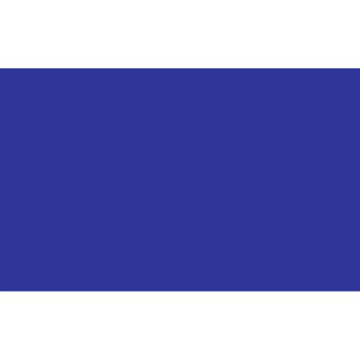 Kleuren thema vlag - blauw - 150 x 90 cm - polyester