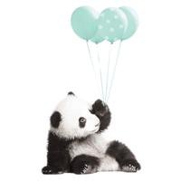 Muursticker - Panda met muntballonnen