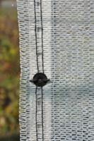 Royal Well snapshots (set van 20 stuks) Royal Well snapshots (set van 20 stuks)