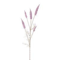 Astilbe tak pink - Buitengewoon de Boet - thumbnail