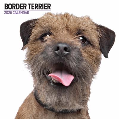 Border Terrier Modern Kalender 2026