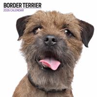 Border Terrier Modern Kalender 2026