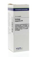 VSM Solidago virgaurea D4 20 Milliliter