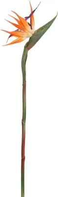 Pure Royal kunsttak strelitzia 58cm oranje