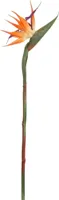 Pure Royal kunsttak strelitzia 58cm oranje