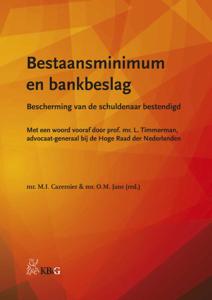 Bestaansminimum en bankbeslag (Paperback)