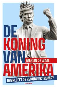 De koning van Amerika - Merijn de Waal - ebook