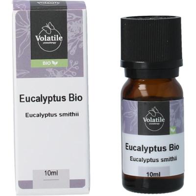 Volatile Eucalyptus smithii bio
