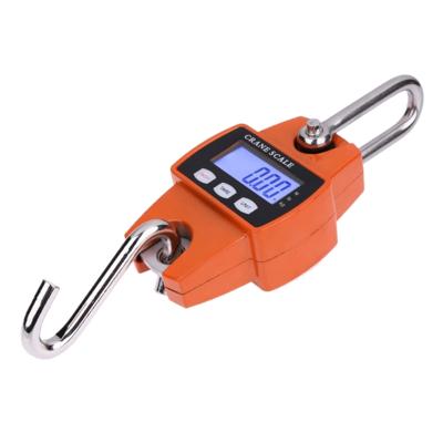 300kg x 100g draagbare LCD digitale RVS haak mini elektronische haak schaal