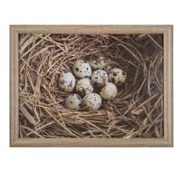Mars & More Schootkussen Laptray - eieren in nest print - 43 x 33 cm
