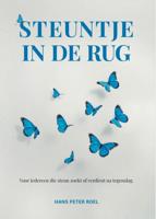 Steuntje in de rug (Hardback) Steuntje in de rug (Hardback)
