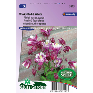 Aquilegia zaden Winky Red &amp; White akelei