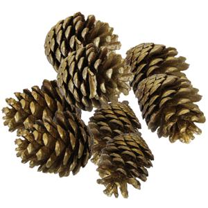 Decoratie dennenappels - 8x st - goud - 6/7 cm - herfstdecoratie - kerstversiering