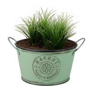 Plantenpot/bloempot teil voor buiten - zink - rond - jadegroen - D22 x H12 cm