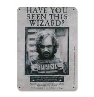 Harry Potter Bordje voor aan de Muur Have You Seen This Wizard 15 x 21 cm