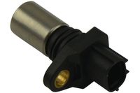 Krukassensor ECR9018
