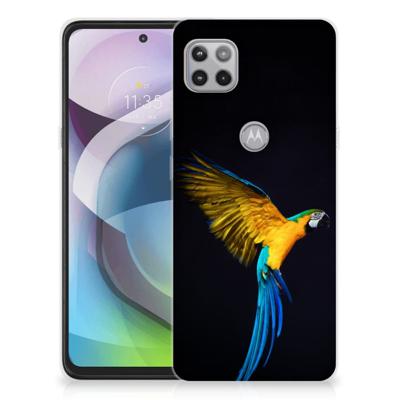 Motorola Moto G 5G | TPU Hoesje | Papegaai