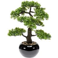 Bonsai boompje Ficus Retusa kunstplant in kunststof pot 47 cm   - - thumbnail
