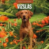 Vizsla Kalender 2026