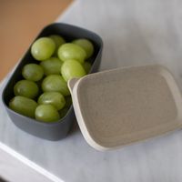 Koziol - Lunchbox, Klein, Lekvrij, Organic, As Grijs - Koziol Candy S - thumbnail