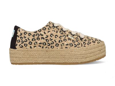 Toms Cheetah Cassiah 10016308 Bruin maat