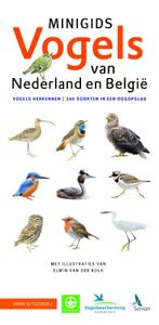 Natuurgids Minigids Vogels van Nederland en België | KNNV Uitgeverij